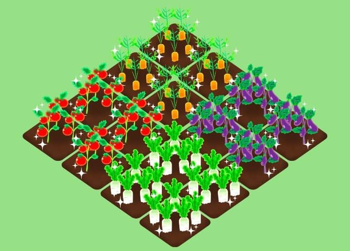 点つなぎギフトくじの畑