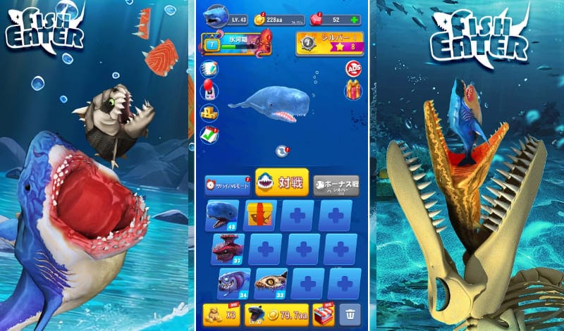 サメサメ進化論-アイキャッチ