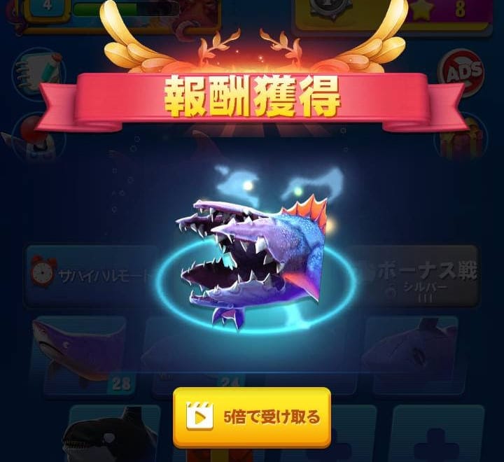 サメサメ進化論-赤いボックス